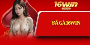Đá Gà 16Win