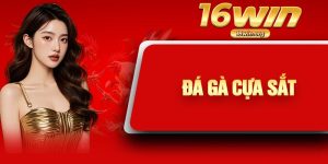 Đá Gà Cựa Sắt